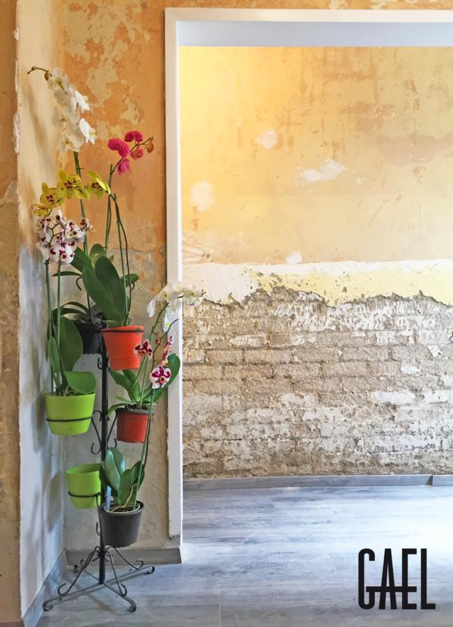 Gael Condesa Hostel Meksyk Zewnętrze zdjęcie